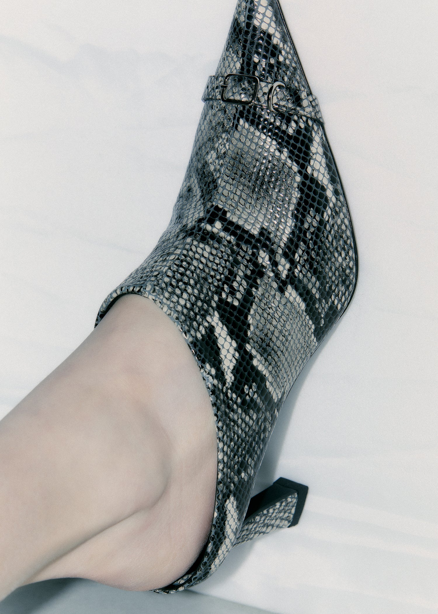 Patti python mules
